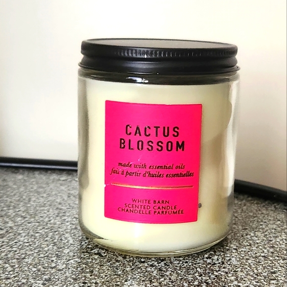Cactus Blossom Single Wick Candle Jar by Bath and Body Works - Picture 1 of 1